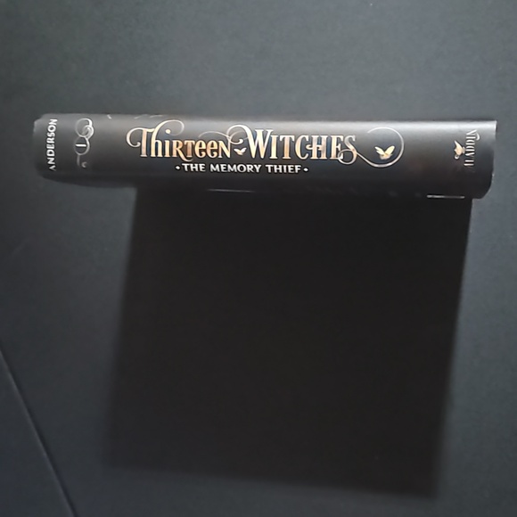 Simon  & Schuster Thirteen Witches The Memory Thief by Jodi Lynn Anderson NWOT - Picture 4 of 8